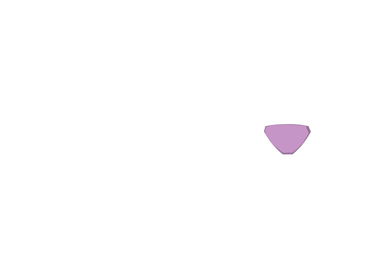 XXX