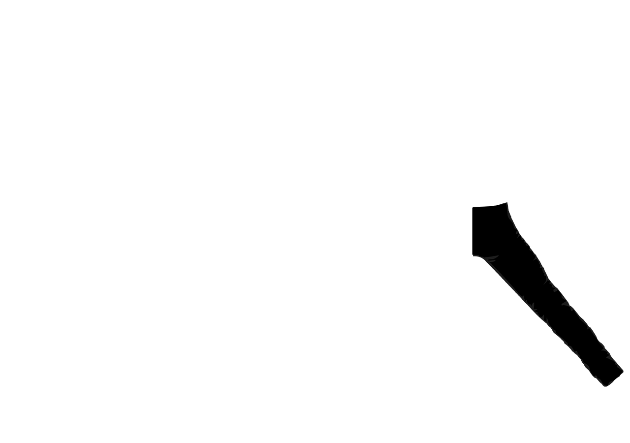 XXX
